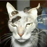 Жанна Беляева